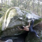 Dai Koyamada en Fontainebleau