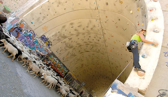 Tunel de escalada TaraClimb en Las Islas Canarias