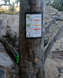 Escalada en Boulder; consejos para visitar El Helechal en Bolonia España