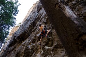 Escaladores de alto nivel disfrutan de escalada en el Bosque Mágico