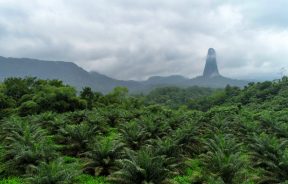 TNF 4 Elementos: Hermanos Pou en la Aguja del Cao Grande en África